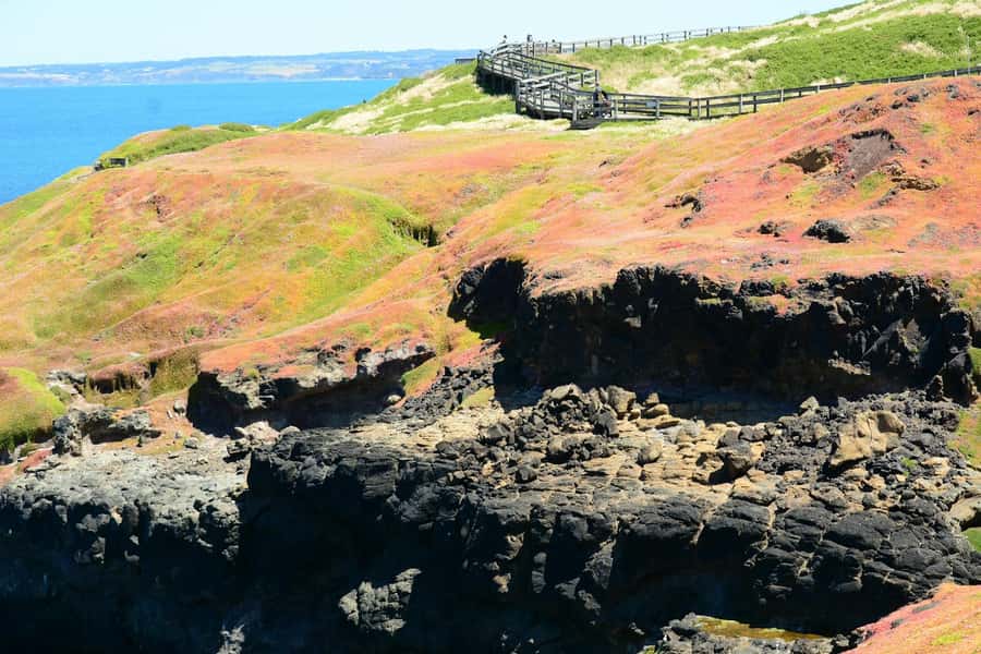 Melbourne: Puffing Billy Train & Penguin Island Excursion - Cowes Free Time: A Short Break to Eat and Stretch