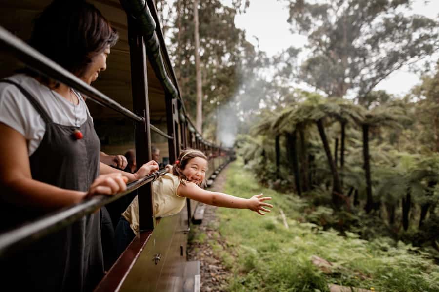 Melbourne: Puffing Billy Train & Penguin Parade Adventure - Brighton Beach Rainbow Huts and Melbourne pickup points