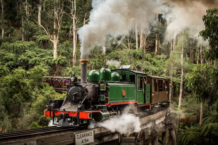 Melbourne: Puffing Billy Train & Penguin Parade Adventure - The Nobbies View Point: coastal views that make the evening payoff worth it