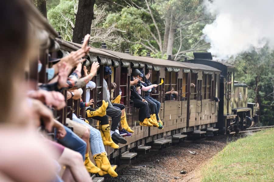 Melbourne: Puffing Billy Train & Penguin Parade Adventure - Timing, comfort, and what to bring for a long day