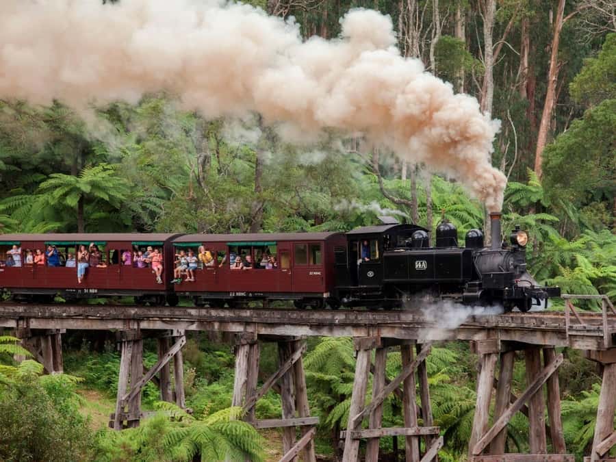Melbourne: Puffing Billy Train Wildlife Zoo Private Tour - Key highlights you’ll feel right away