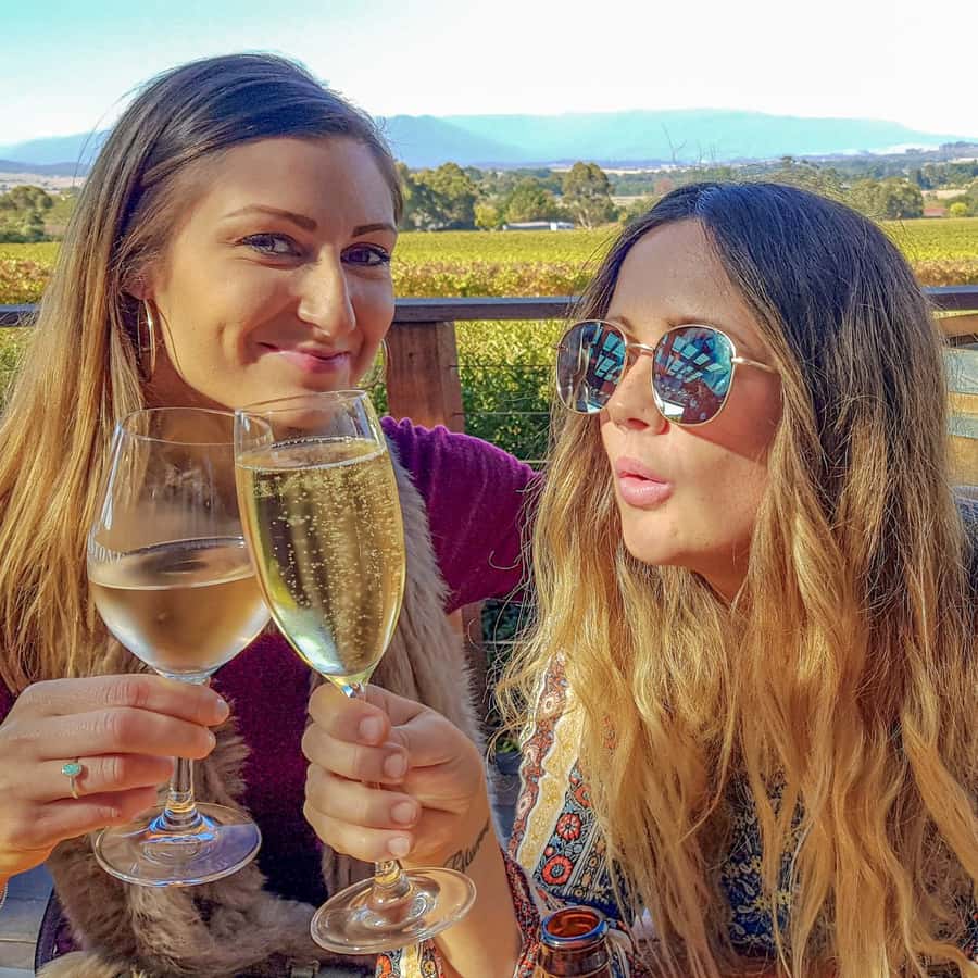 Melbourne: Relaxed Half-Day Yarra Valley Wine Tour - Key highlights at a glance