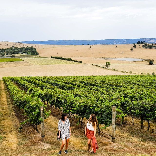 Melbourne: Relaxed Half-Day Yarra Valley Wine Tour - Stop 2: more tastings plus optional cheese or charcuterie pairing