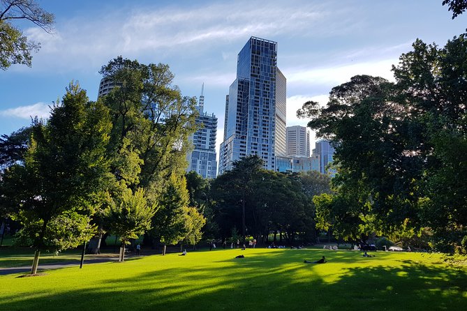 Melbourne Sights & Sounds Private Tour - A Private Half-Day That Lets You Pick Melbourne
