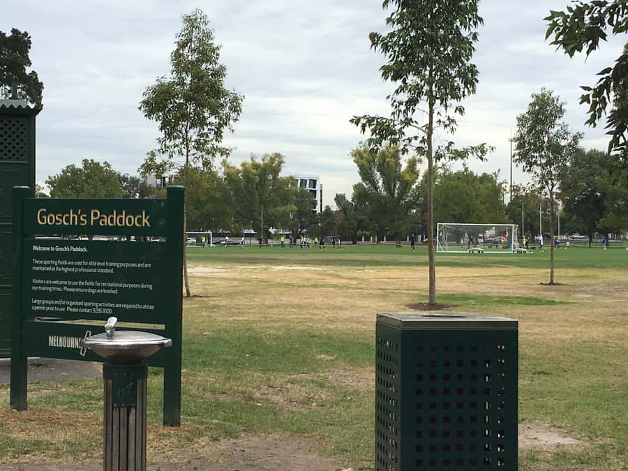 Melbourne Sports Walk - Why this Melbourne Sports Walk feels different from a typical tour