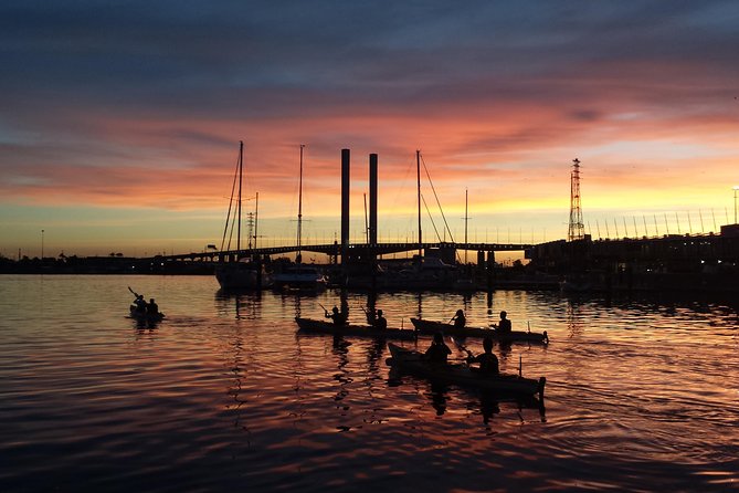 Melbourne Sunset Kayaking Experience with Dinner - Docklands start: safety briefing, Sea Bear kayaks, and what you’ll do first