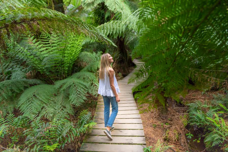 Melbourne to Adelaide: 2-Day Great Ocean Road Grampians Tour - Evening dinner and your Halls Gap “head start”