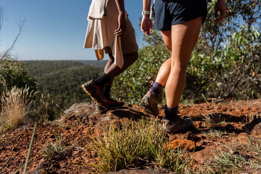 Melbourne to Adelaide: 2-Day Great Ocean Road Grampians Tour - Wildlife spotting: how to make it work without stressing