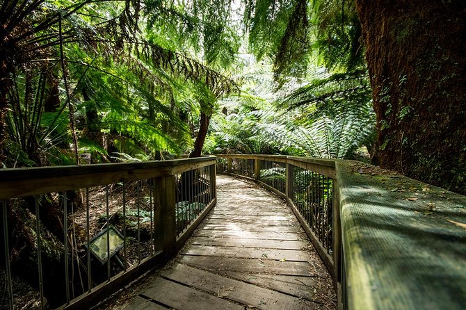 Melbourne to Adelaide 3-Day Great Ocean Road & Grampians Tour - Great Ocean Road to Adelaide in three days: why it works