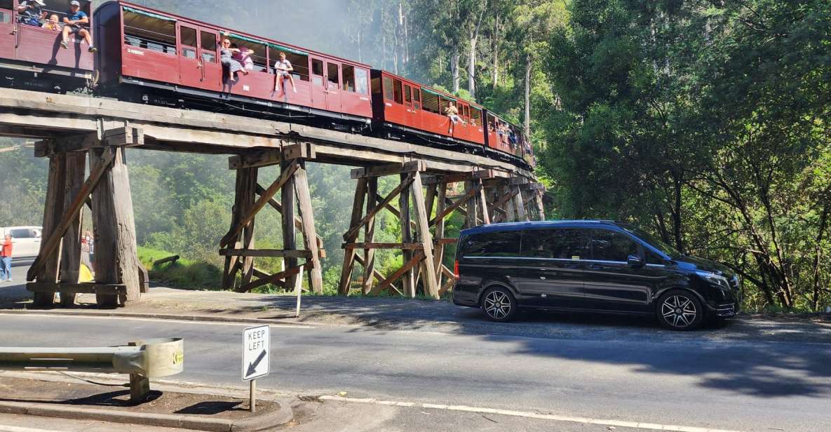 Melbourne to Puffing Billy and Yarra Valley Private Tour - Who this tour suits best (and who might want a different style)