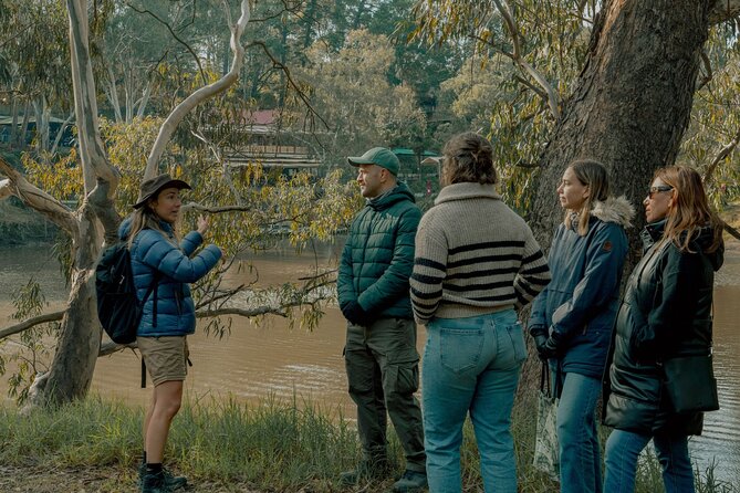 Melbourne Tours Walk the Yarra & Historic Boathouse Lunch - Key highlights worth knowing
