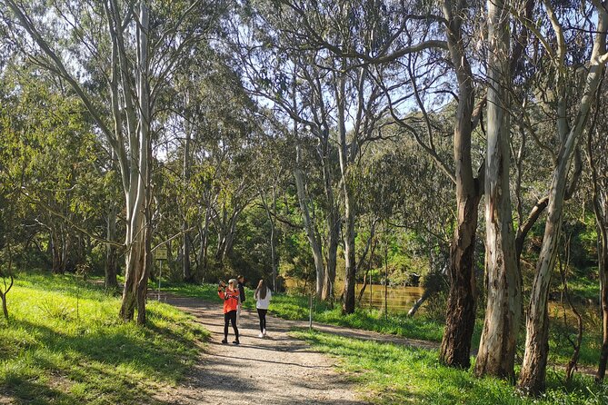 Melbourne Tours Walk the Yarra & Historic Boathouse Lunch - From Windsor to Yarra Bend Park: why this format works