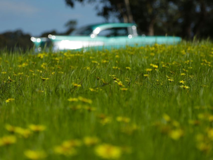 Melbourne: Yarra Valley Food & Wine Tour in a '56 Chevrolet - Winery Tour and Tastings: What’s Included vs What Costs Extra