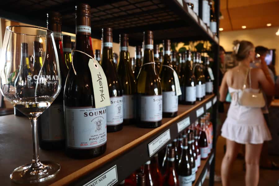 Melbourne: Yarra Valley Half-Day Wine Tour - What $95 really buys: value in transport, tastings, and time