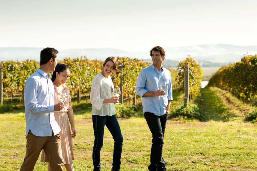 Melbourne: Yarra Valley Wine Bubbles & Kangaroos Tour - Guides and group size: why max 12 changes the feel of the day