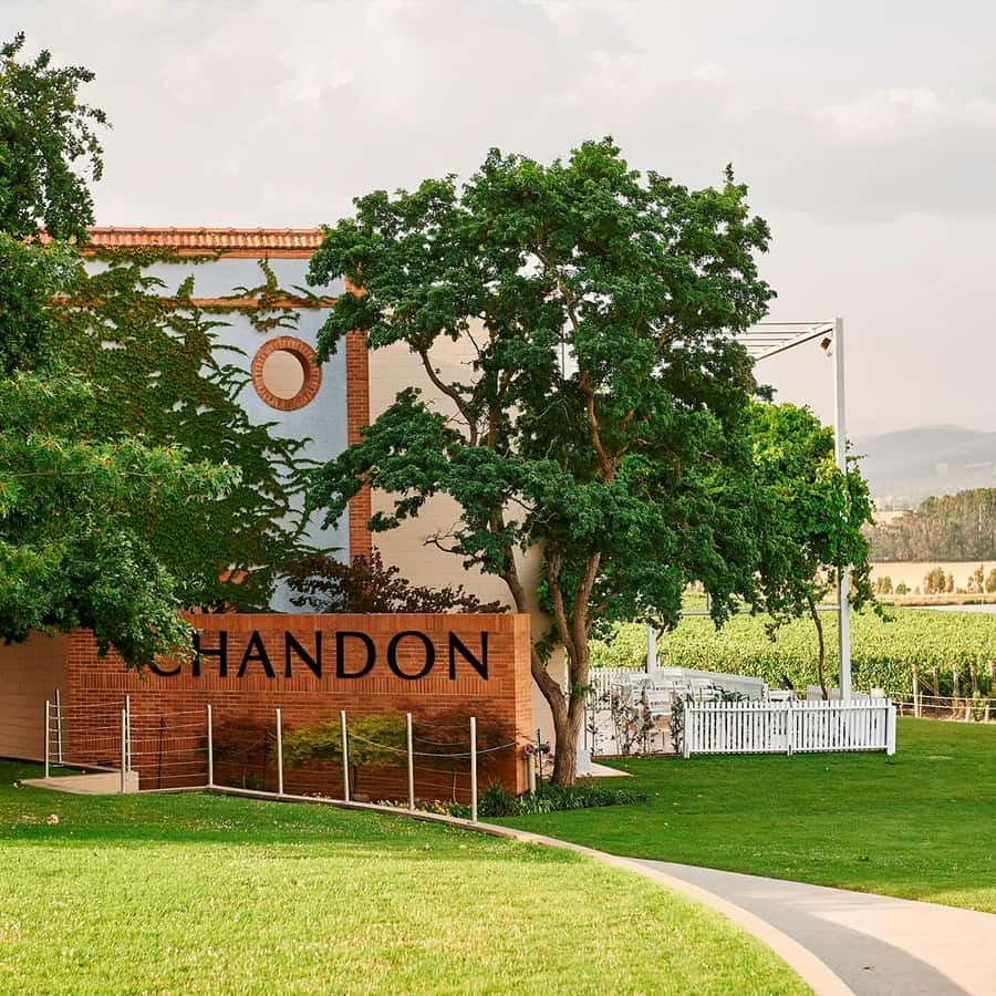 Melbourne: Yarra Valley Wine & Cherry Picking Day Trip - Cement Creek Redwood Forest: the easiest win on the whole day