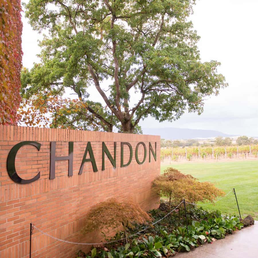 Melbourne: Yarra Valley Wine & Cherry Picking Day Trip - Domaine Chandon: sparkling wine tastings with valley views