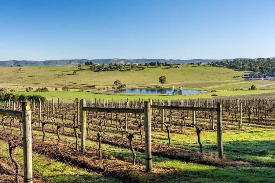 Melbourne: Yarra Valley Wine, Cider, Gin, Beer, & Choc Tour - Key Points Worth Knowing Before You Go