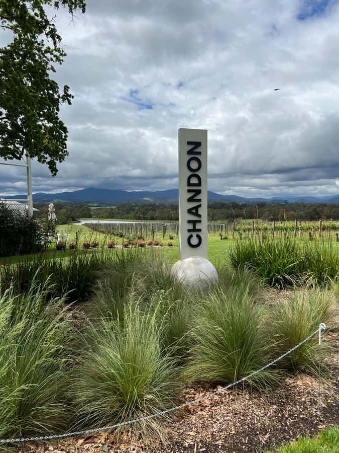 Melbourne: Yarra Valley Wineries Private Day Tour - Choosing your wine stops: flexibility without chaos