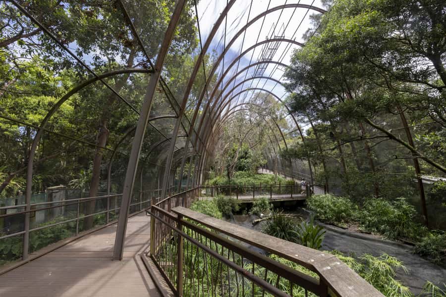 Melbourne Zoo: Australian Wildlife Experience Ticket - Logistics That Matter: Entry, Meeting Point, and Timing