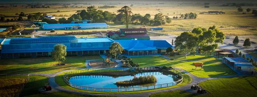 Melbourne：Phillip Island Tour 1 Day Tour - Summerland Beach Penguin Parade: the main event
