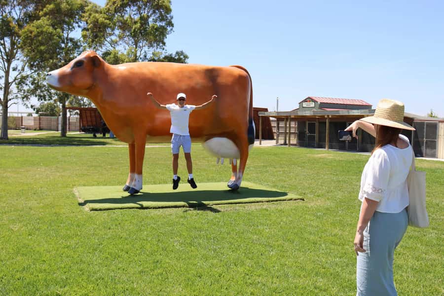 Melbourne：Phillip Island Tour 1 Day Tour - Should you book this Phillip Island tour?