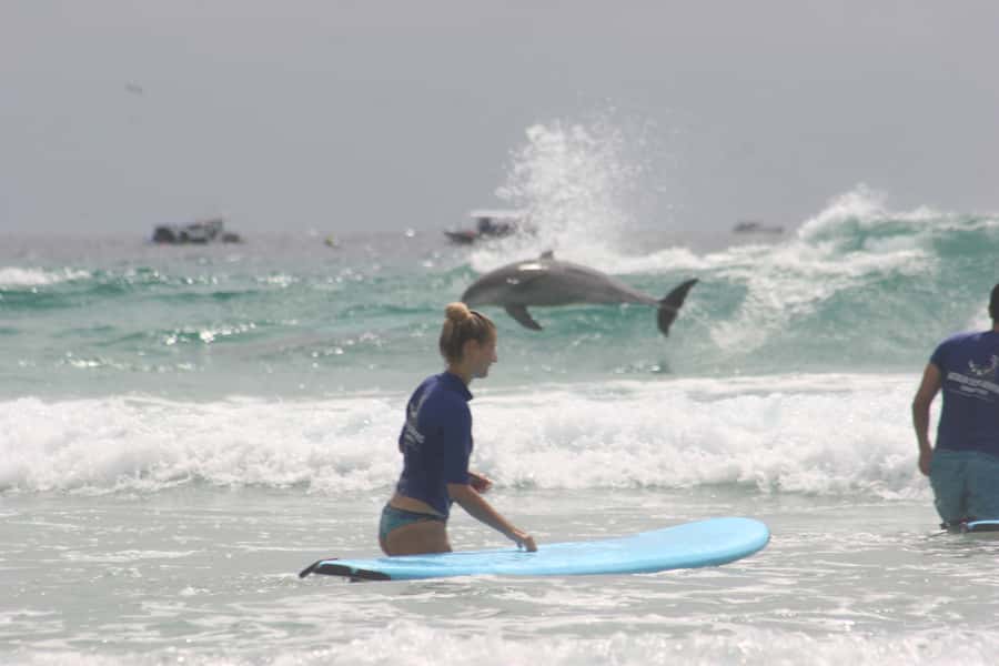 Miami: Group Surf Lesson - Gold Coast Surf Lesson: Where You’ll Actually Start (Tallebudgera)
