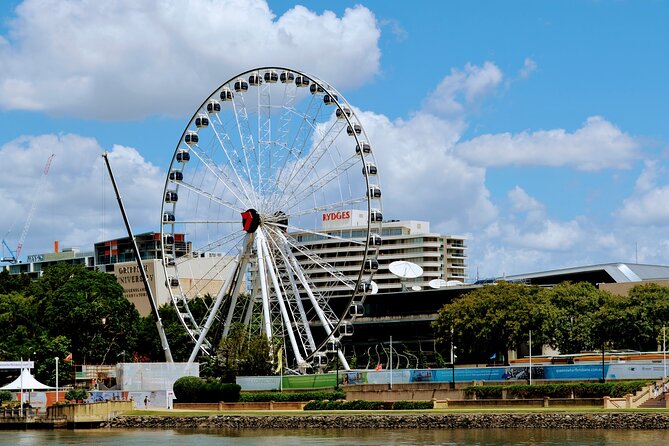 Mid-Afternoon Sightseeing Cruise: 2:30pm-4pm (90min) - Why the 2:30pm Timing Feels Right on Brisbane River