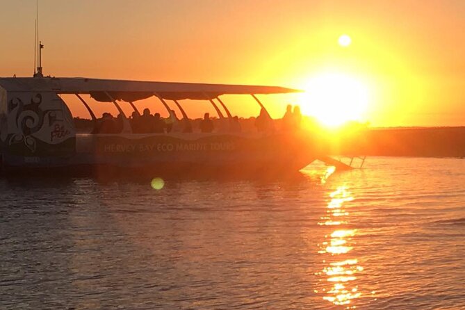 Milbi Sunset Cruise with Champagne and Prawns - Why this Milbi sunset cruise feels like good value