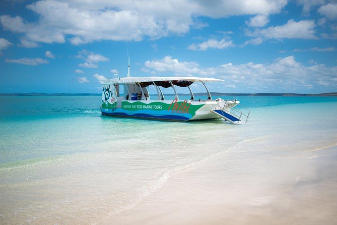 Milbi Sunset Cruise with Champagne and Prawns - Crew energy: why friendly service changes everything