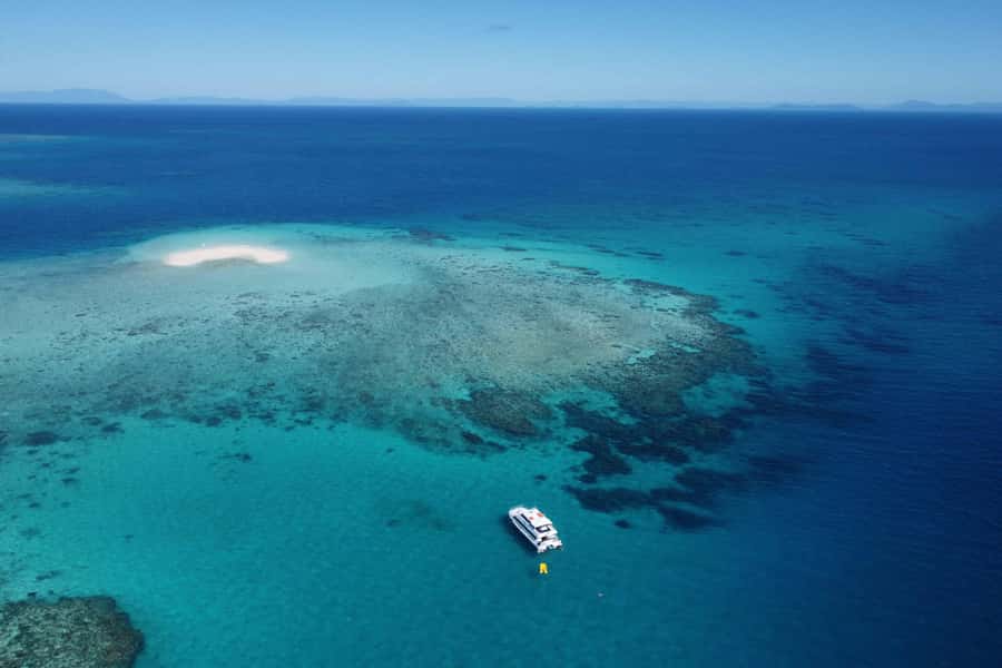 Mission Beach: Outer Great Barrier Reef & Dunk Island Tour - Mission Beach to Beaver Reef: fast outer-reef time without the hassle