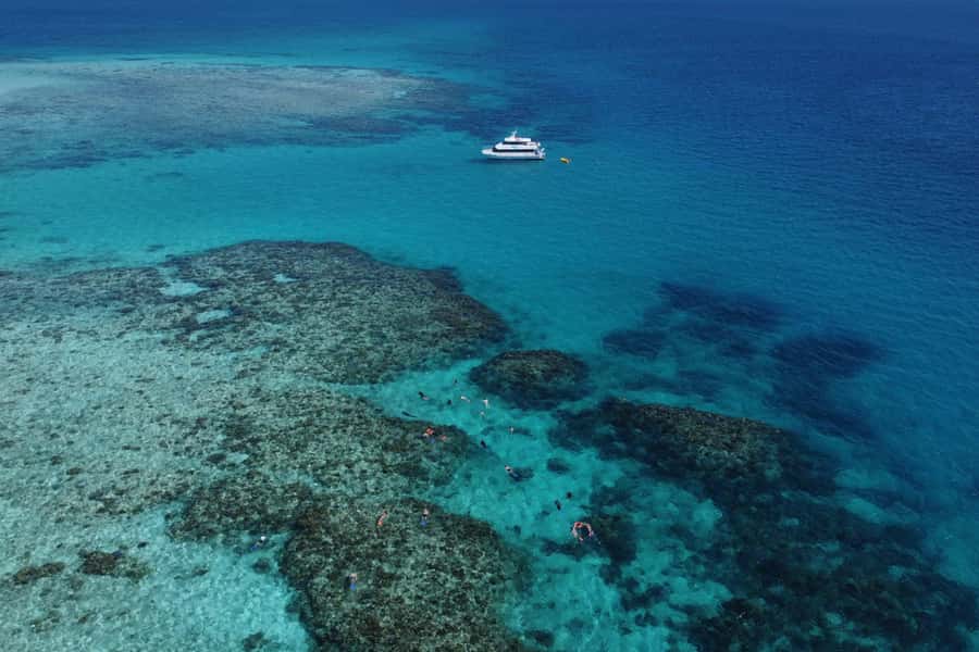 Mission Beach: Outer Great Barrier Reef & Dunk Island Tour - The schedule: what happens from morning tea to reef time
