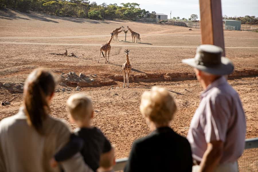Monarto Safari Park: General Admission Tickets - Quick Key Highlights
