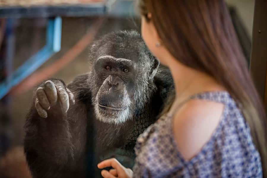 Monarto Safari Park: General Admission Tickets - Monarto Safari Park Basics: One Full Day in South Australia