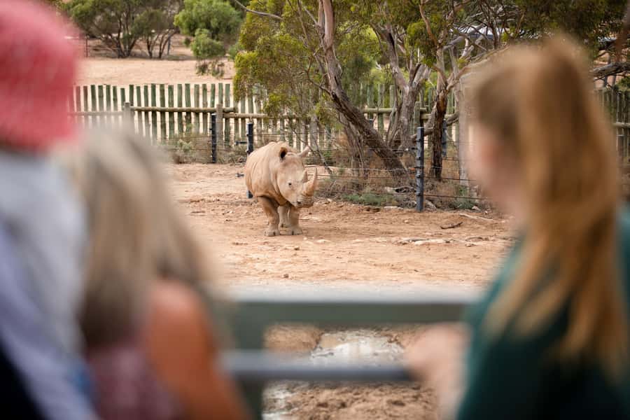 Monarto Safari Park: General Admission Tickets - Getting the Most Out of Your Day: A Simple Strategy