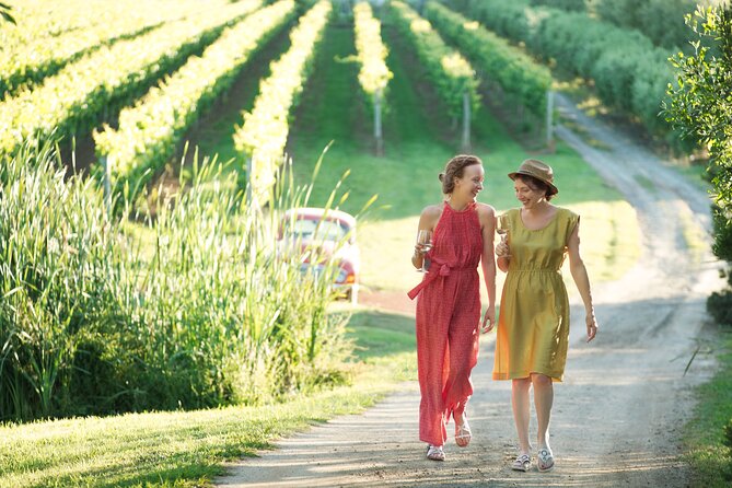 Montalto Vineyard: Mornington Peninsula Discovery Wine Tasting and Lunch - Key things to know before you go