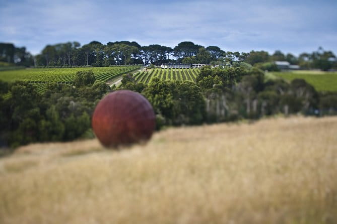 Montalto Vineyard: Mornington Peninsula Discovery Wine Tasting and Lunch - Discovery Tasting: learning cool-climate wine without getting snobby