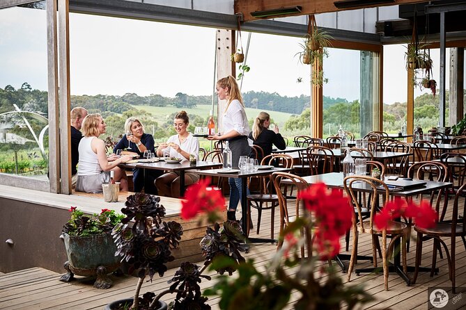Montalto Vineyard: Mornington Peninsula Discovery Wine Tasting and Lunch - What the lunch experience feels like in the Alfresco Piazza