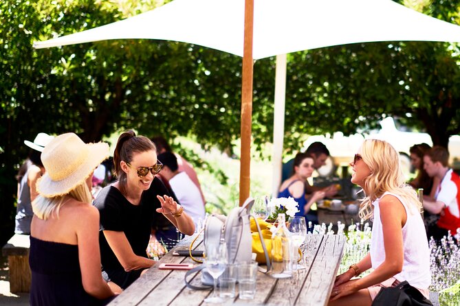 Montalto Vineyard: Mornington Peninsula Discovery Wine Tasting and Lunch - After-lunch wander: sculpture gardens with a calm, outdoors vibe