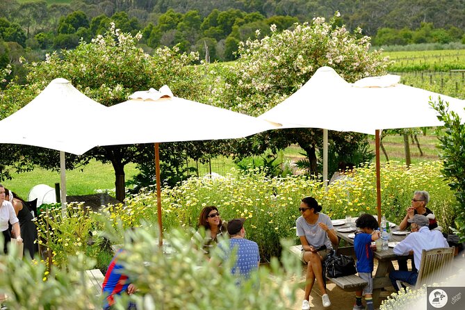 Montalto Vineyard: Mornington Peninsula Discovery Wine Tasting and Lunch - The tasting rooms: Alto wine room and Piazza views