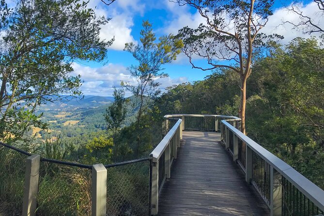 Montville, Maleny and Sunshine Coast Hinterland Tour with Lunch - Mapleton Falls Tea and Coffee: A Rainforest View Start That Sets the Tone