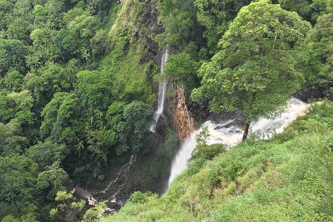 Montville, Maleny and Sunshine Coast Hinterland Tour with Lunch - McCarthy’s Lookout and the Glass House Mountains: The Story Lands at the Right Spot