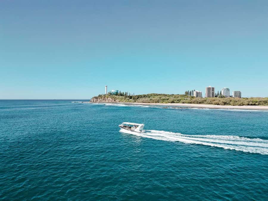 Mooloolaba: 2-Hour Whale Watching Adventure - Should you book this Mooloolaba whale watching adventure?