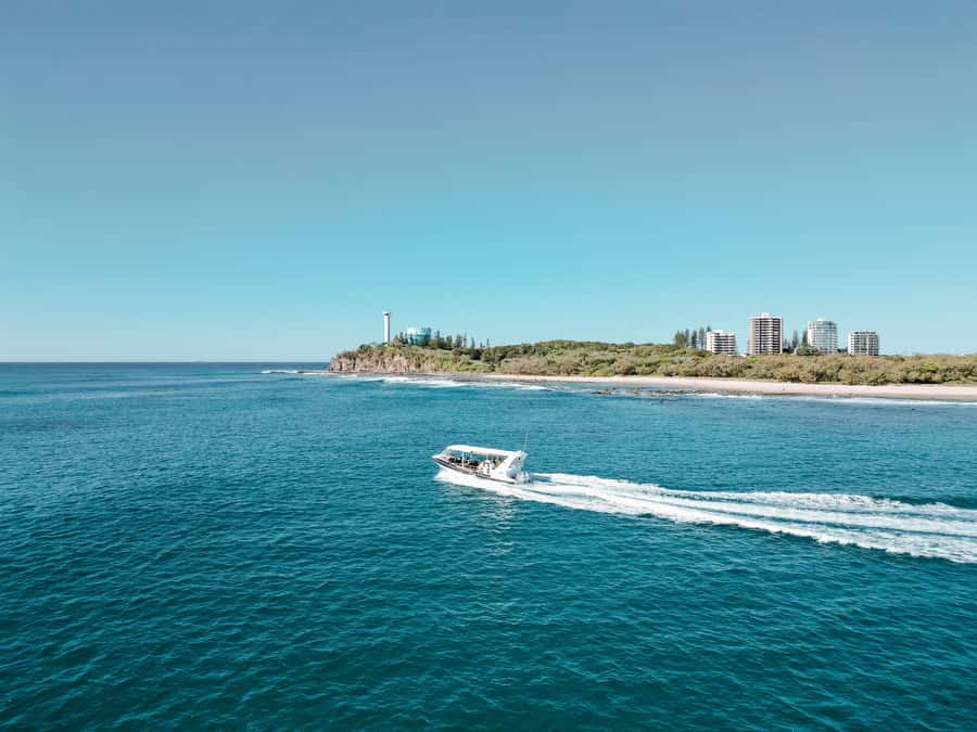 Mooloolaba: Adventure Rafting Turtle Tour - Key things that make this turtle tour worth your time