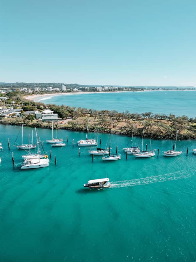 Mooloolaba: Adventure Rafting Turtle Tour - The core experience: a fast RIB with a nature mission