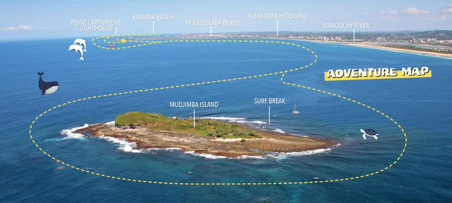 Mooloolaba: Adventure Rafting Turtle Tour - Wildlife on the move: turtle chances at Mudjimba Island