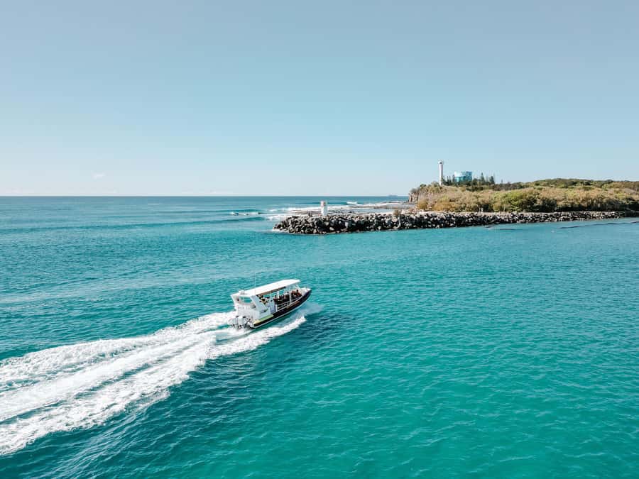 Mooloolaba: Adventure Rafting Turtle Tour - Final verdict: should you book the Mooloolaba Turtle Tour?