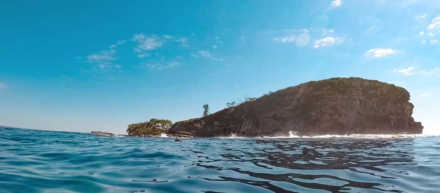 Mooloolaba: Snorkel with Turtles Mudjimba Island - Key things that make Mudjimba snorkelling feel worth it