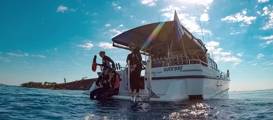 Mooloolaba: Snorkel with Turtles Mudjimba Island - Mudjimba Island: why this snorkel trip is so focused