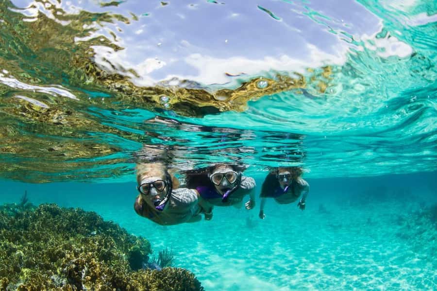 Mooloolaba: Snorkel with Turtles Mudjimba Island - The boat ride to the reef: short, real, and sometimes bouncy